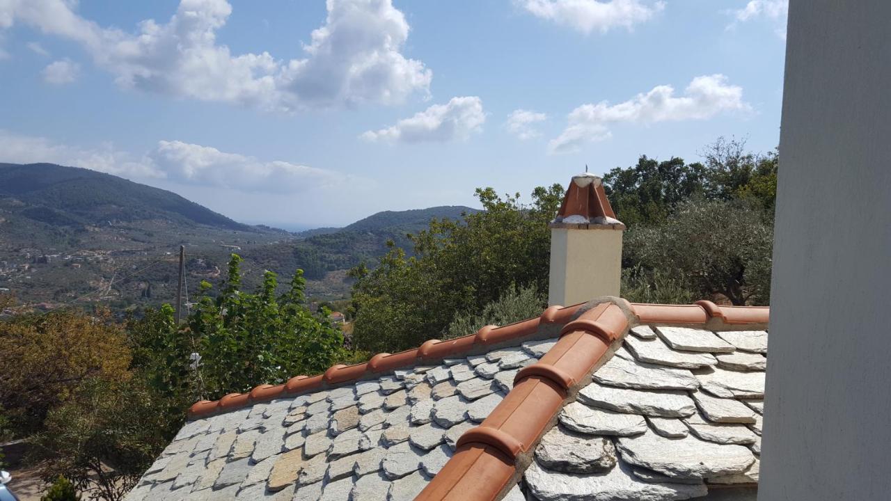 Danai Villa Skopelos Town Exterior photo